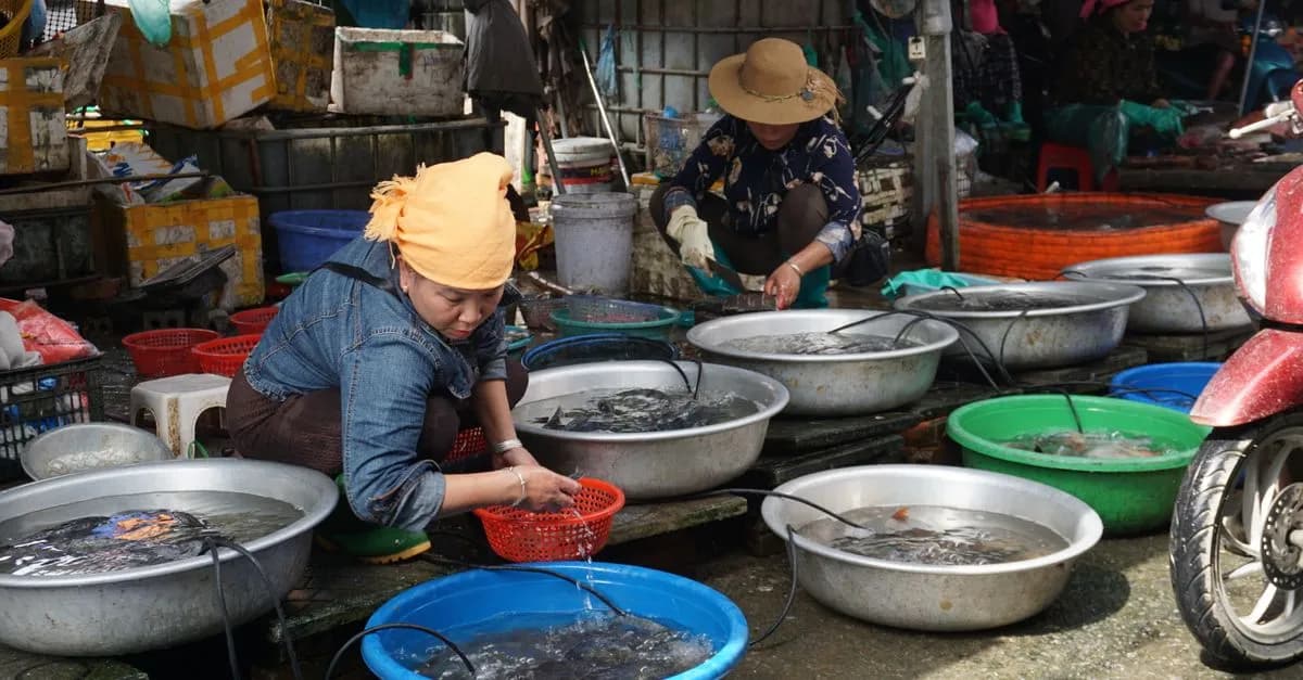 Women selling fresh fish at a vibrant market in Nghia Lo, Vietnam, capturing local culture.