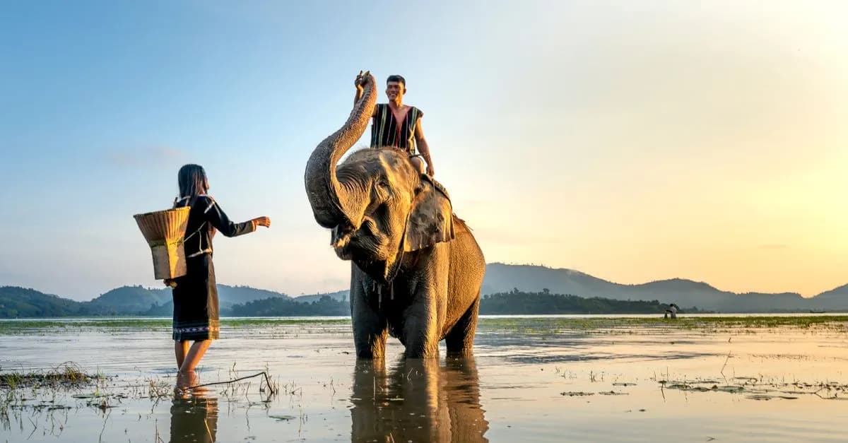 Two people and an elephant interact in a tranquil swamp at sunset, creating a harmonious and serene scene.